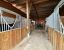 equestrian property 8 Rooms for sale on REUX (14130)